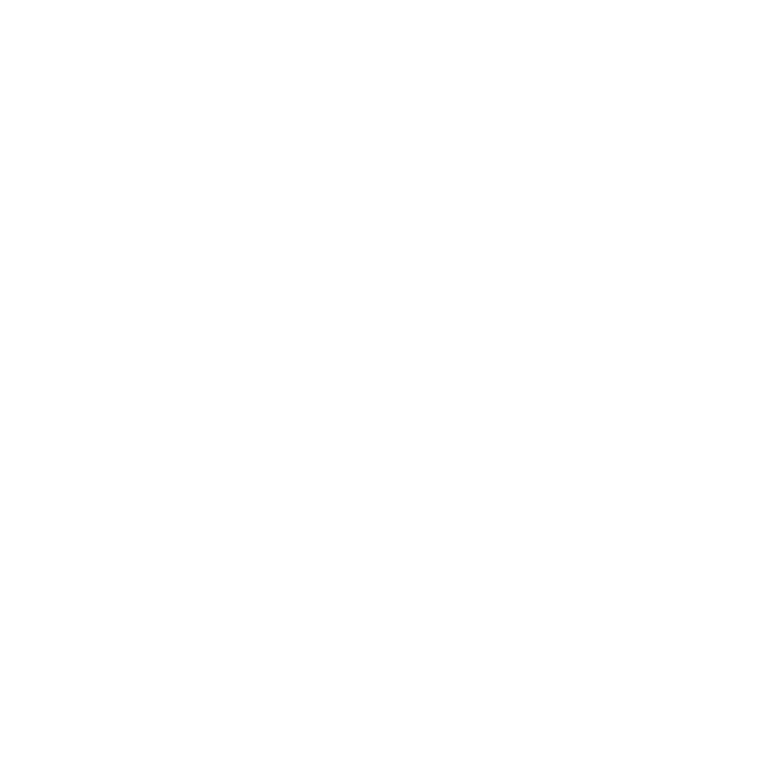 Paladino